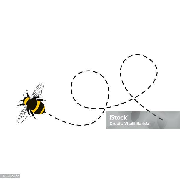 Bee Flying On A Dotted Route Isolated - Arte vetorial de stock e mais imagens de Abelha - Abelha, Voar, Abelhão