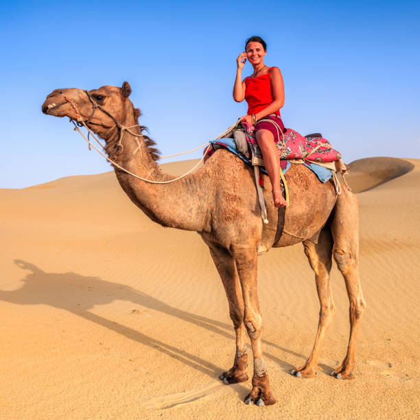 istock Young female tourist using smart phone on a camel, Rajasthan, India 1215474094