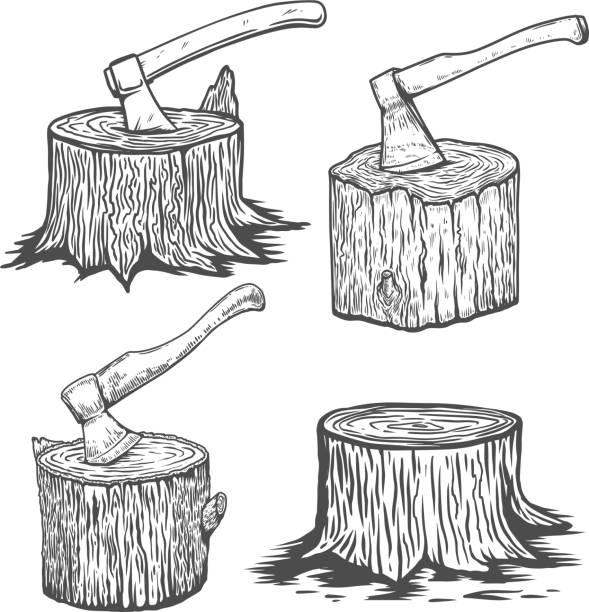 Wood slices with axe. Illustration of wood stumps in engraving style. Design element for emblem, sign, poster, card, banner, flyer. Vector illustration
