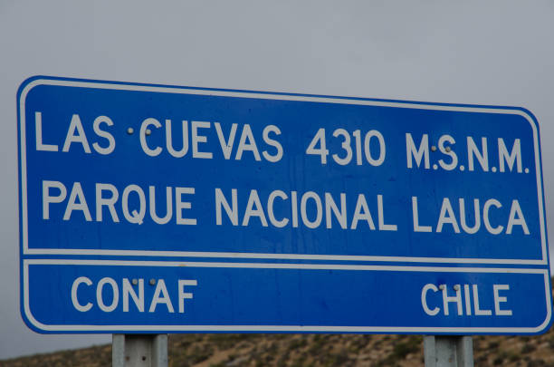 istock Information signal indicating the place and altitude. 1215474935