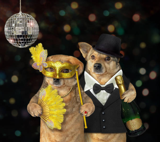 istock Two dogs have fun in nightclub 2 1215477054