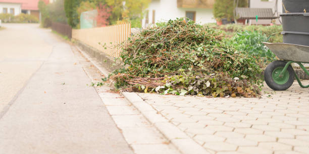 Garden waste from cutting shrubs and plants. Standing by the road and waiting to be picked up. Garden waste collection stock photo