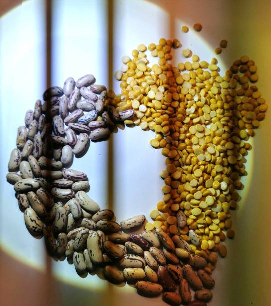 Seeds and Grains