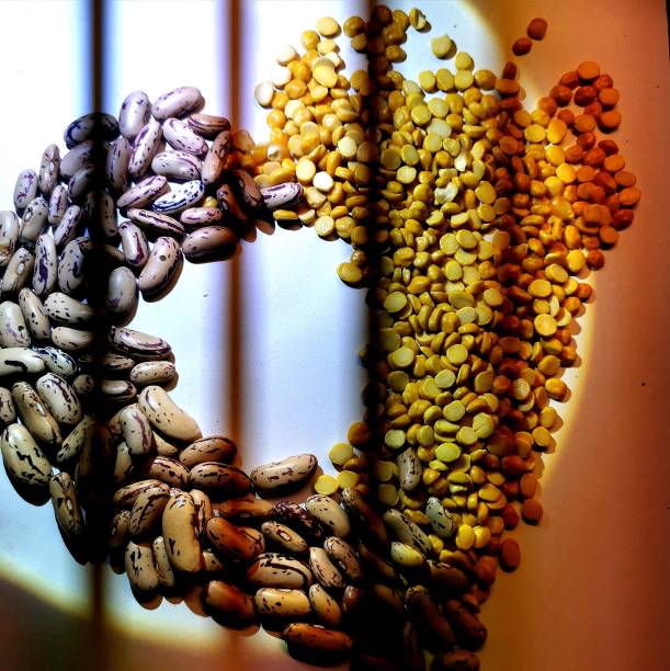 Seeds and Grains