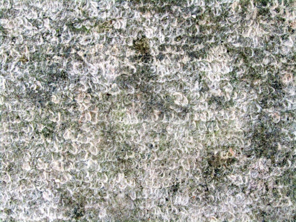 istock old gray woolen carpet texture background. macro photo 1215478805