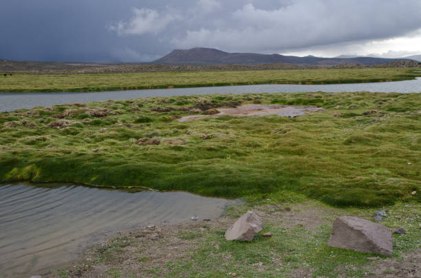 istock Landscape with meadows and lagoon in Parinacota. 1215478886