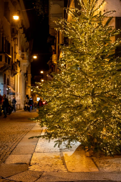 istock Verona Italy 1215481709