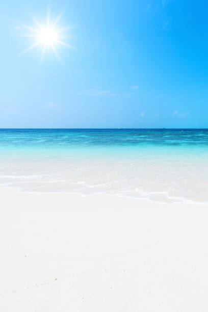 istock Exotic tropical white sand beach scene for background or wallpaper 1215482247