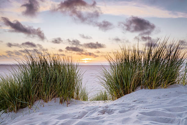 istock Texel lighthouse during sunset Netherlands Dutch Island Texel 1215484743