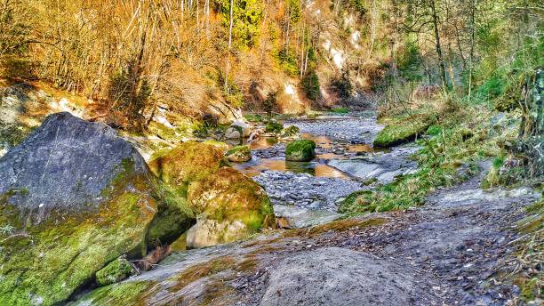 istock play of colors on the river 1215487539