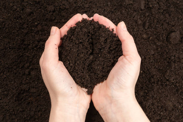 istock Woman hand holding ground. 1215490079