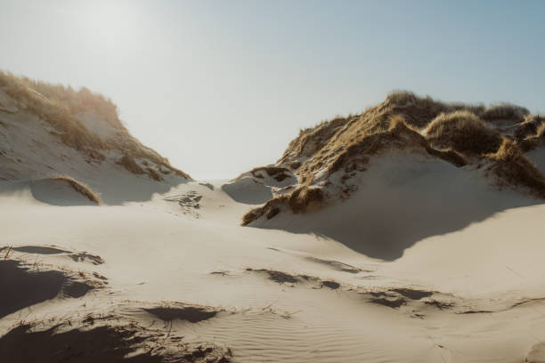 duna de arena a la luz del sol - amrum summer spring island fotografías e imágenes de stock