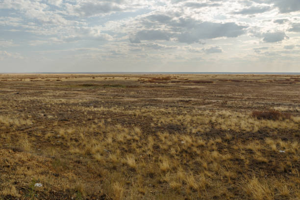 istock steppe in Kazakhstan 1215493293