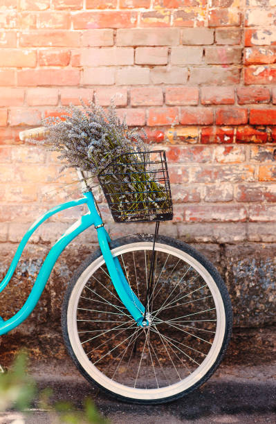 bicicleta com buquê de flores de lavanda na rua - camel ride - fotografias e filmes do acervo