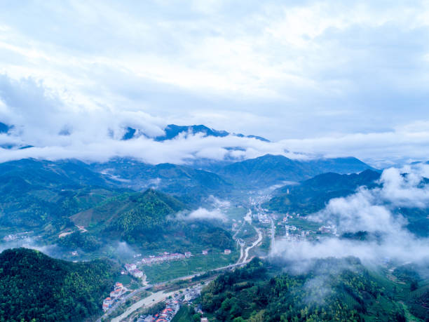 istock Chinese tea garden, beautiful ecology 1215497083