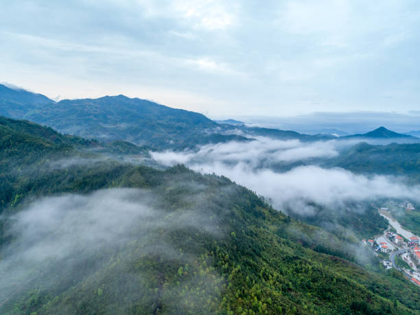 istock Chinese tea garden, beautiful ecology 1215497368