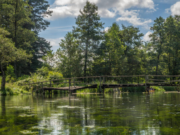 istock Wooden bridge on the river 1215498747