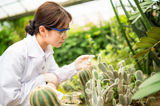 Female scientist working in a greenhouse.