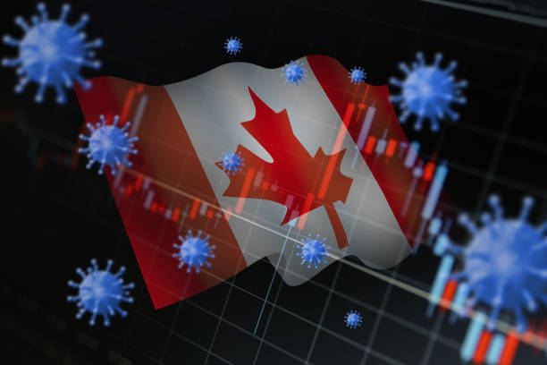 epidemias mundiales e impacto económico - canadian flag flag national flag japan fotografías e imágenes de stock