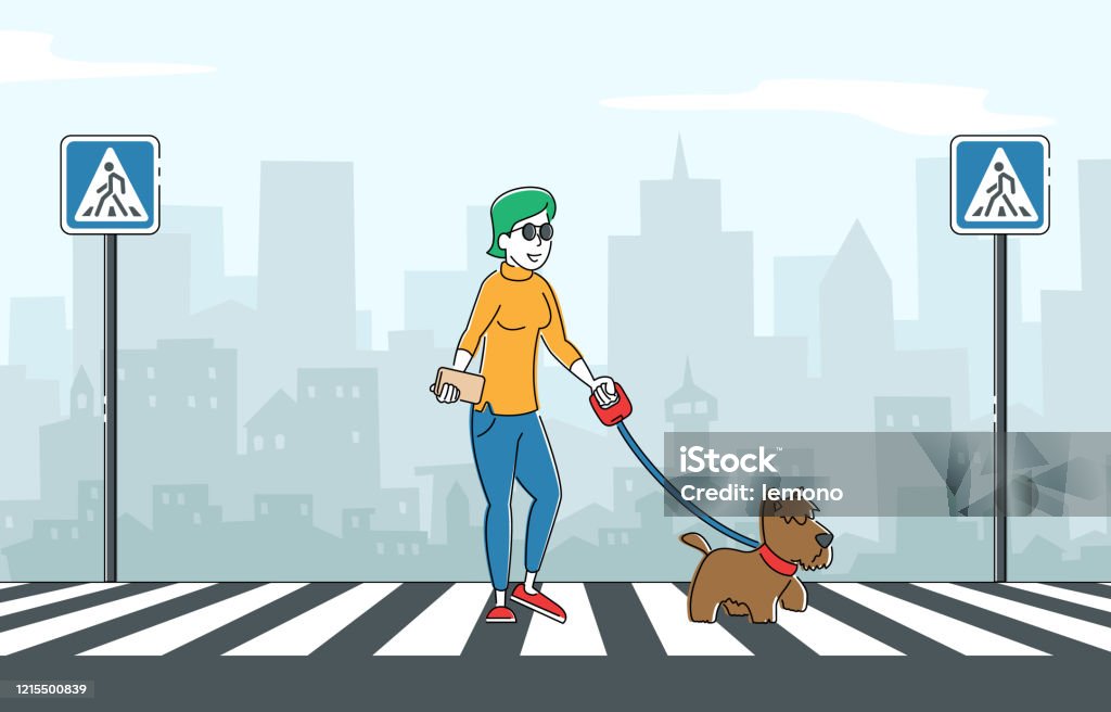 Blind Woman Walking With Guide Dog Crossing Street Along Zebra Special  Trained Animal Helping To Disabled Female Character To Walk In City Vision  Disability Eyes Disease Linear Vector Illustration Stock Illustration -