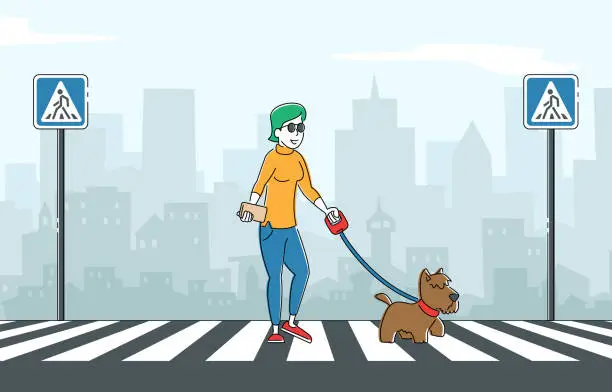 Vector illustration of Blind Woman Walking with Guide Dog Crossing Street along Zebra. Special Trained Animal Helping to Disabled Female Character to Walk in City. Vision Disability, Eyes Disease. Linear Vector Illustration
