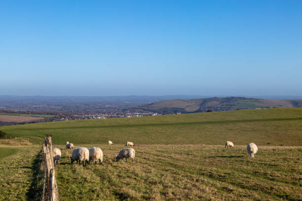 istock A South Downs Rural Landscape 1215502639