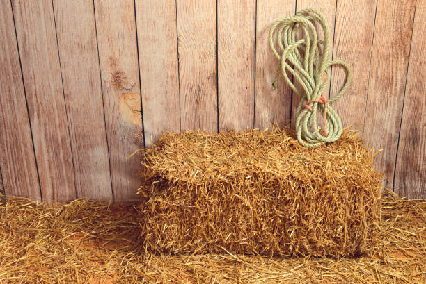 istock bale of straw with rope and wood wall 1215503328