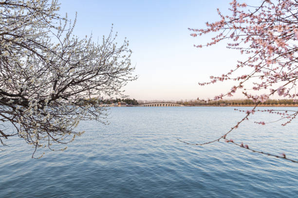 Beijing Summer Palace Seventeen Arch Bridge
