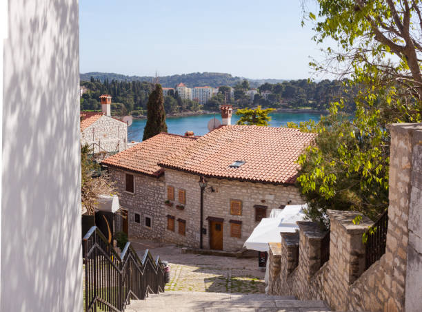 istock Alley of Rovinj 1215504809