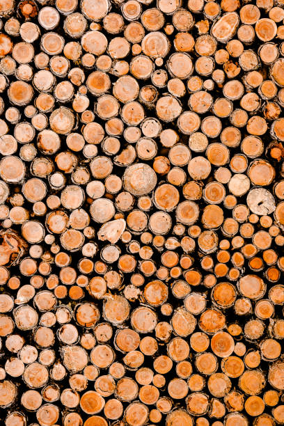istock Woodpile in stack. Circle shape. Wall of firewood. 1215507193