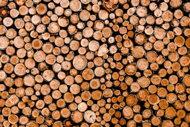 istock Woodpile in stack. Circle shape. Wall of firewood. 1215509758
