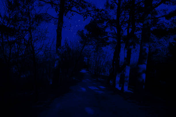 Mountain Road through the forest on a full moon night. Scenic night landscape of country road at night with large moon