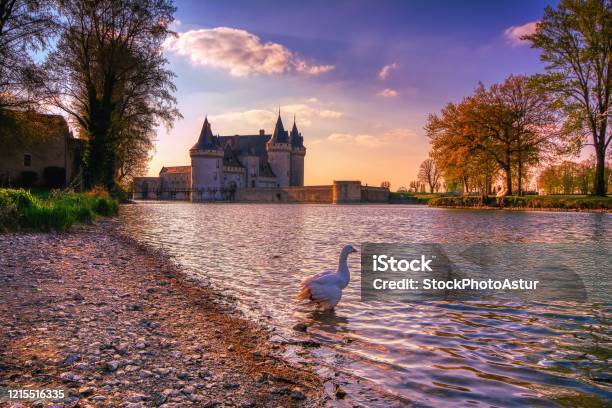 Sully Sur Loire Francja - zdjęcia stockowe i więcej obrazów Zamek - Konstrukcja budowlana - Zamek - Konstrukcja budowlana, Sully-sur-Loire, Rzeka Loara