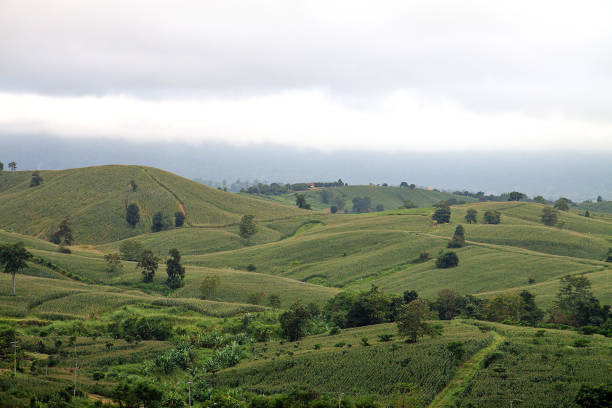 istock landscape with green hills and trees 1215517102