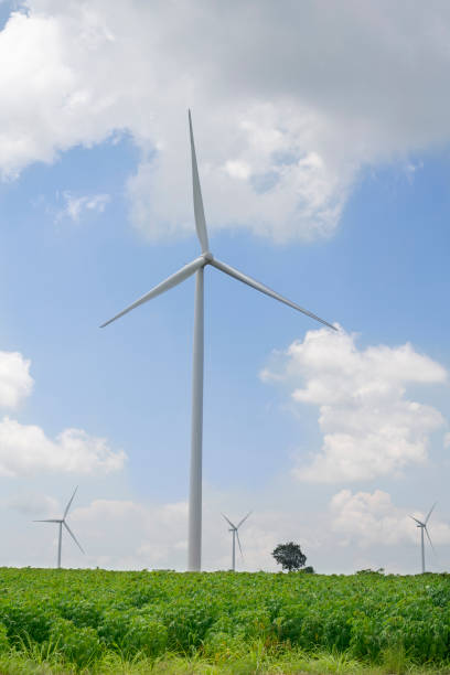 istock wind turbines on the hill with blue sky 1215519432
