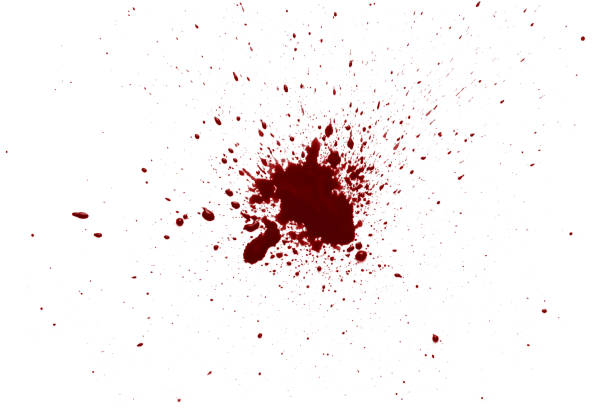 blood drops on white - spray splattered blood paint imagens e fotografias de stock