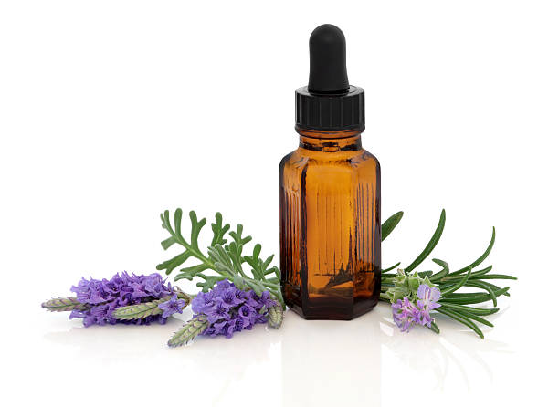 lawenda i rosemary essence - lavender lavender coloured flower homeopathic medicine zdjęcia i obrazy z banku zdjęć