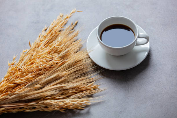 istock Cup of coffee and wheat spikelets on gray background 1215528956