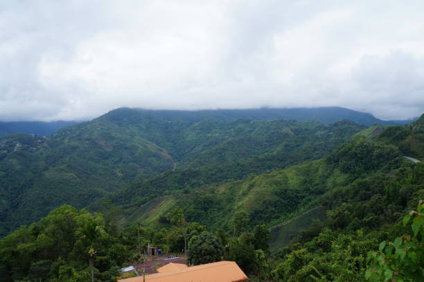 istock Kinabalu Nature Park in Kota Kinabalu, Malaysia 1215531069