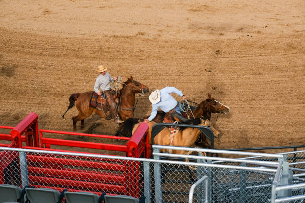 istock Cowboys Catching A Loose Bucking Bronco 1215532330