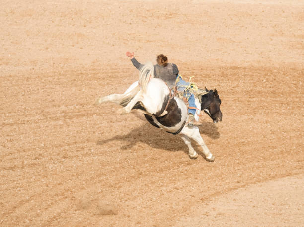 istock Cowboy Riding A Bucking Bronco 1215533354