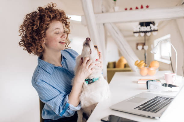 istock Young woman cuddling her dog while working from her home office 1215533358