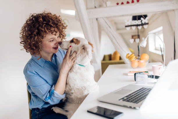 istock Young woman freelancing from home and cuddling her dog 1215533360