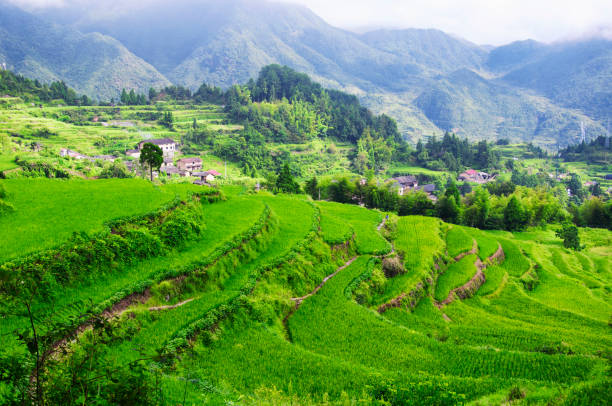 istock Yunhe Cloud Rice Terraces China landscape 1215533591