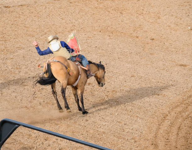 istock Cowboys Riding A Bucking Bronco 1215533629