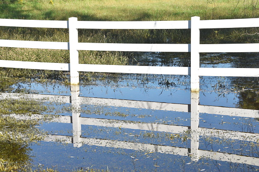 White fence on the farm reflected in flooded pond.