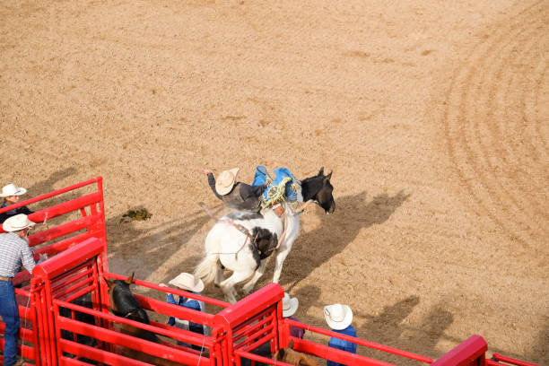 istock Cowboys Riding A Bucking Bronco 1215533793