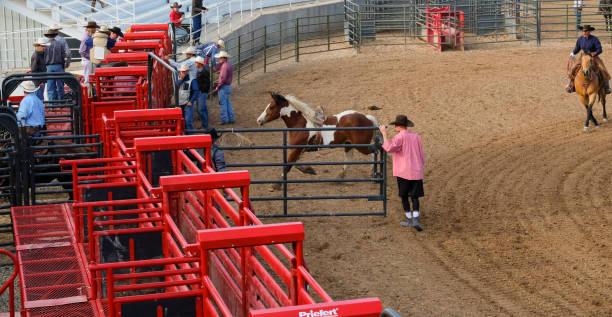 istock Rodeo Clown Opens Chute For A Bucking Bronco 1215534454