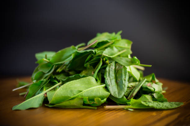 fresh cut sorrel leaves on a wooden table stock photo