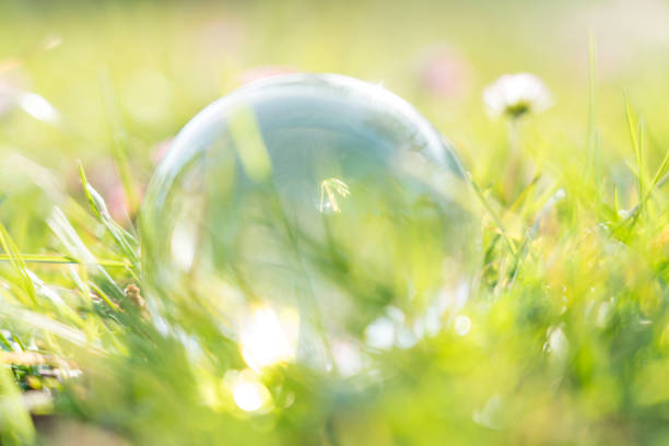 Close up of crystal ball on bright green meadow and spring flowers, low angle view.